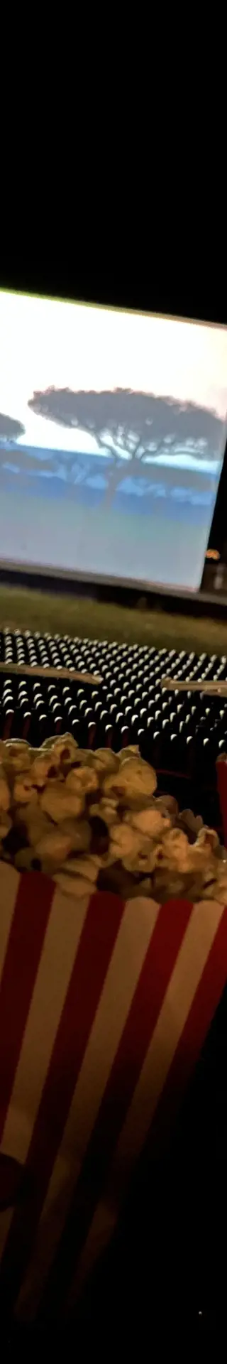 Freiluft-Kino mal anders